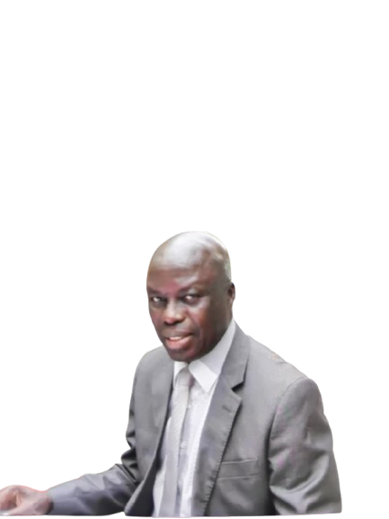 Portrait de M. Diouf, Directeur des Ventes de KaiiDEM